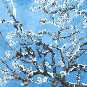 50岁女人裸体毛茸毛
