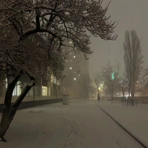 公车上拨开岳双腿进入电影
