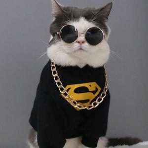 性一交一乱一优A片
