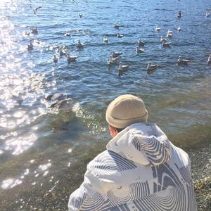 草莓视频在线观看免费完整
