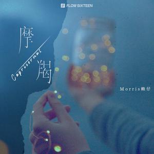 我想你㖭我下我的BB文字
