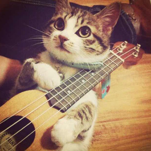 美女的翘臀被踩爆
